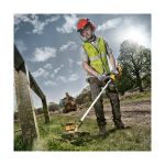 DeWalt DCM561PB - Slika 2